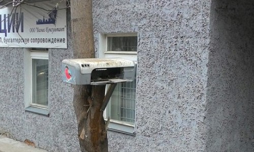 Кировчане сделали из принтера кормушку