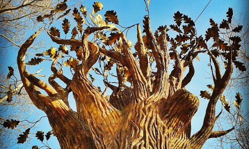 Утро в городе: кировчане загадывают желания и общаются с домашними животными