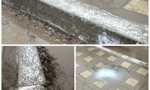 В Кирове дождем смыло новую побелку на бордюрах