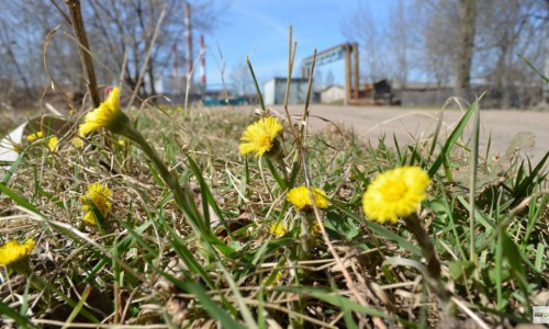 На предстоящей неделе в Кирове ожидается до 20 градусов тепла