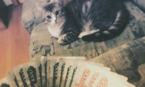 Понедельник в Кирове: мастер парковки и селфи на фоне пожарных машин