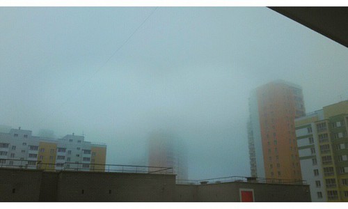 Утро в городе: Киров в тумане и хорек за рулем