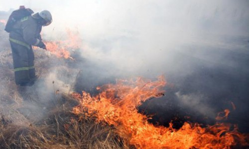 В Кировской области оштрафовали бабушку, которая случайно устроила пожар