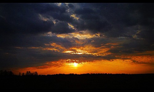 Утро в Кирове: потрясающий рассвет и пушистые котята