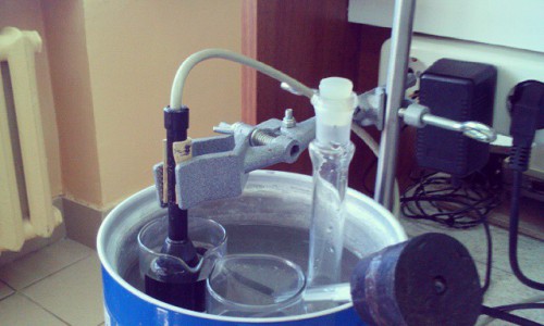 Утро в Кирове: кот Федор и научные опыты