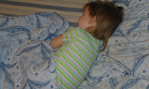 В Кирове зарегистрирован случай подозрения на клещевой энцефалит у ребенка