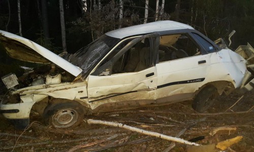 В Кировской области погиб водитель перевернувшегося «ВАЗа»