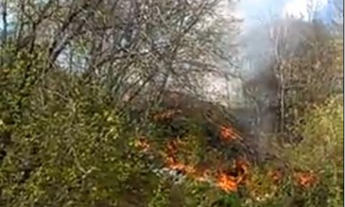 Кировчане, чтобы спасти свои сады, из ведер тушили пожар на Филейке