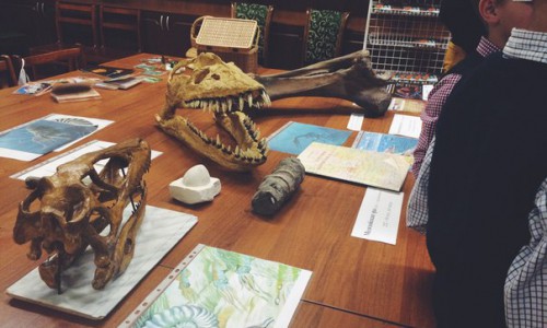 Заведующий палеонтологического музея устроил на работу «мертвую душу» и получал за нее зарплату