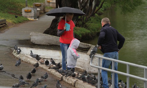 Погода в Кирове: выходные будут дождливыми