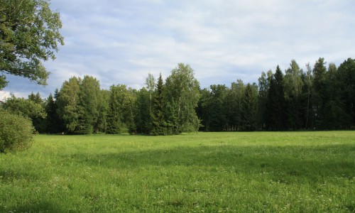 Загородные площадки обработали от клещей: где можно отдыхать и не бояться паразитов?