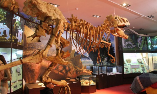 Ночь в музее 2015: как это было