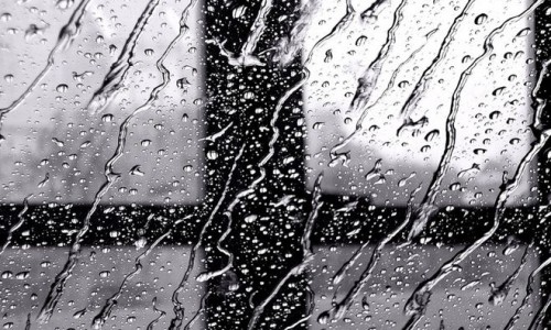 В Кирове предстоящая неделя будет дождливой
