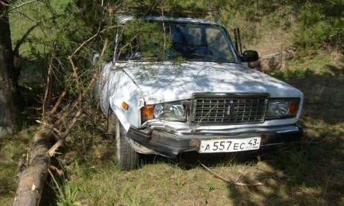 В Кировской области пенсионер въехал в дерево: мужчина погиб