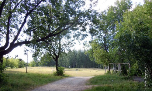 Прокуратура Кировской области заинтересовалась тем, что участок земли у парка Победы продали за копейки