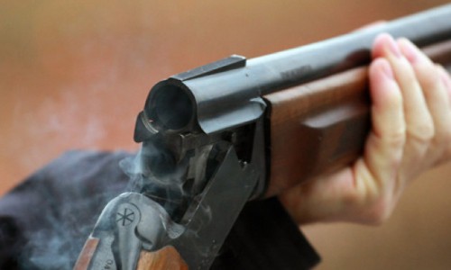 В Кировской области мужчина застрелил семью за убийство собаки