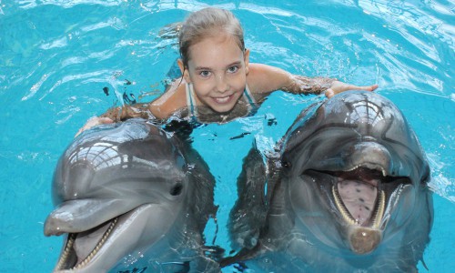 Редкое впечатление: где пообщаться с дельфиненком? Внесите в летние каникулы вашего ребенка яркое событие