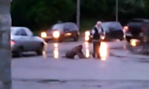 Видео: в Кирове мужчина на коленках переползал дорогу