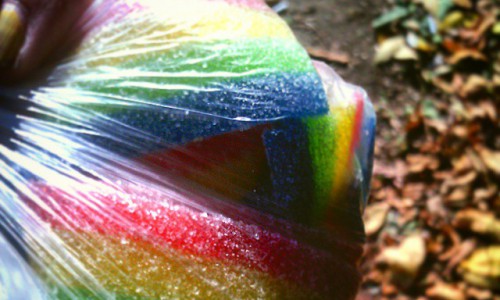 Четверг в Кирове: горожане сфотографировали лысого кота и радугу в пакете