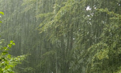 Выходные в Кирове будут теплыми и дождливыми