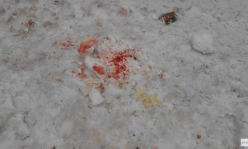 В Кирове нашли труп младенца: полицейские просят помочь в поиске матери малыша