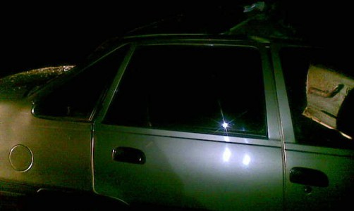 В Кировской области иномарка сбила лося