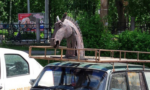 Вторник в Кирове: голова коня, собака в багажнике и мысли о жизни