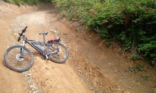 В Кирове велосипедист-подросток покалечил трехлетнюю девочку