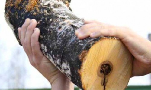 В Кировской области осудили мужчину, который убил нежеланного гостя поленом