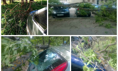 Сильный ветер в Кирове: на автомобили падают деревья