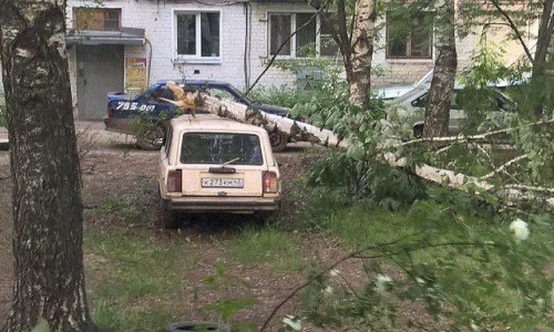 Фото о самых популярных темах в соцсетях: ураган в Кирове и двойная радуга