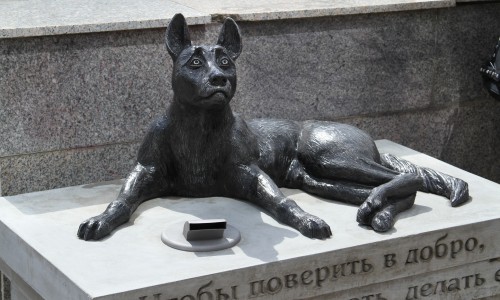 Фоторепортаж: в центре Кирова появилась "Собака - копилка" помощи бездомным животным