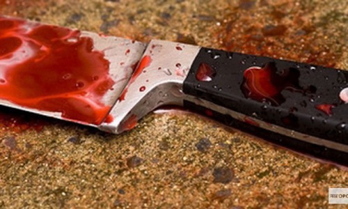 В Кировской области женщина пыталась зарезать своего знакомого