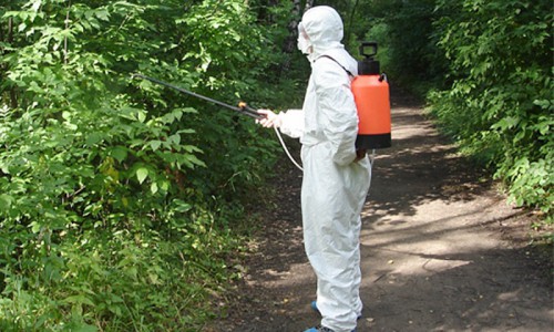 Более 10 000 кировчан пострадали от укусов клещей