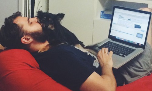 Утро в Кирове: маленькие собачки любят бородачей и деревянный охранник на даче