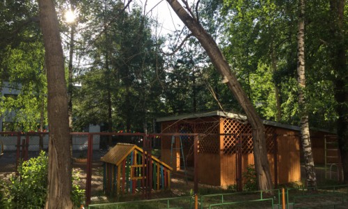 В Кирове дерево нависает над детской площадкой