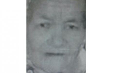 В Кировской области пропала 87-летняя женщина