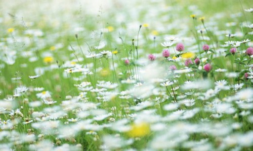 Летние цены на «Домашний интернет» и «Интерактивное тв» от «Ростелекома» сохранятся навсегда