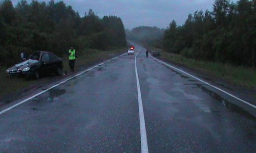 В Кировской области автомобиль сбил лося: в ДТП пострадали двое пассажиров