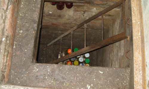 Житель Кировской области скрывался в лесу от знакомого, который держал его в закрытом подполье