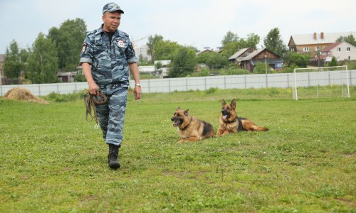 Кинолог: «Воспитание собаки - это тяжелый и кропотливый труд»