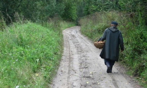 Чудесное спасение: в Кировской области вынесли из леса обессилевшего дедушку-грибника