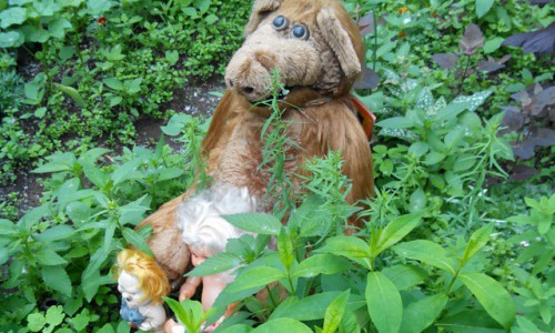 Понедельник в Кирове: пришельцы во дворе и клубника на обед