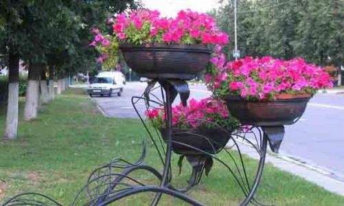 В Кирове неизвестные воруют цветочные вазоны, установленные ко Дню Победы