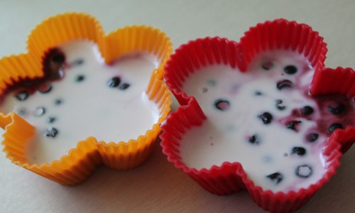 Вкусняшка в жару: сметанное желе с черникой