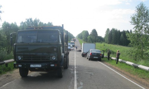 В Кировской области КамАЗ насмерть сбил лошадь с наездником