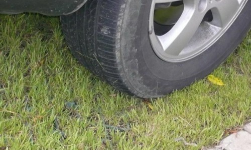 Кировчан оштрафовали на 600 000 рублей за парковку авто на газонах