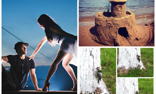 Среда в Кирове: позирующий дятел, танец на крыше и замок из песка