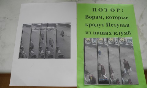 В Кирове видеокамеры засняли старушек, которые крадут цветы с городских клумб
