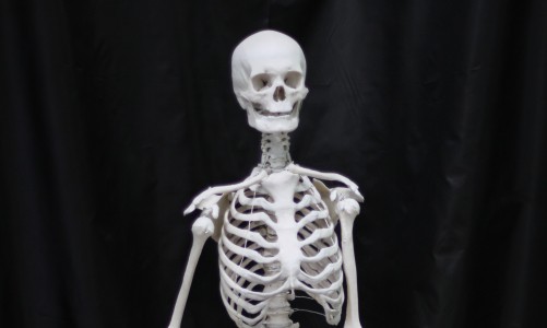 В Кировской области женщина нашла в своей кладовке человеческий скелет